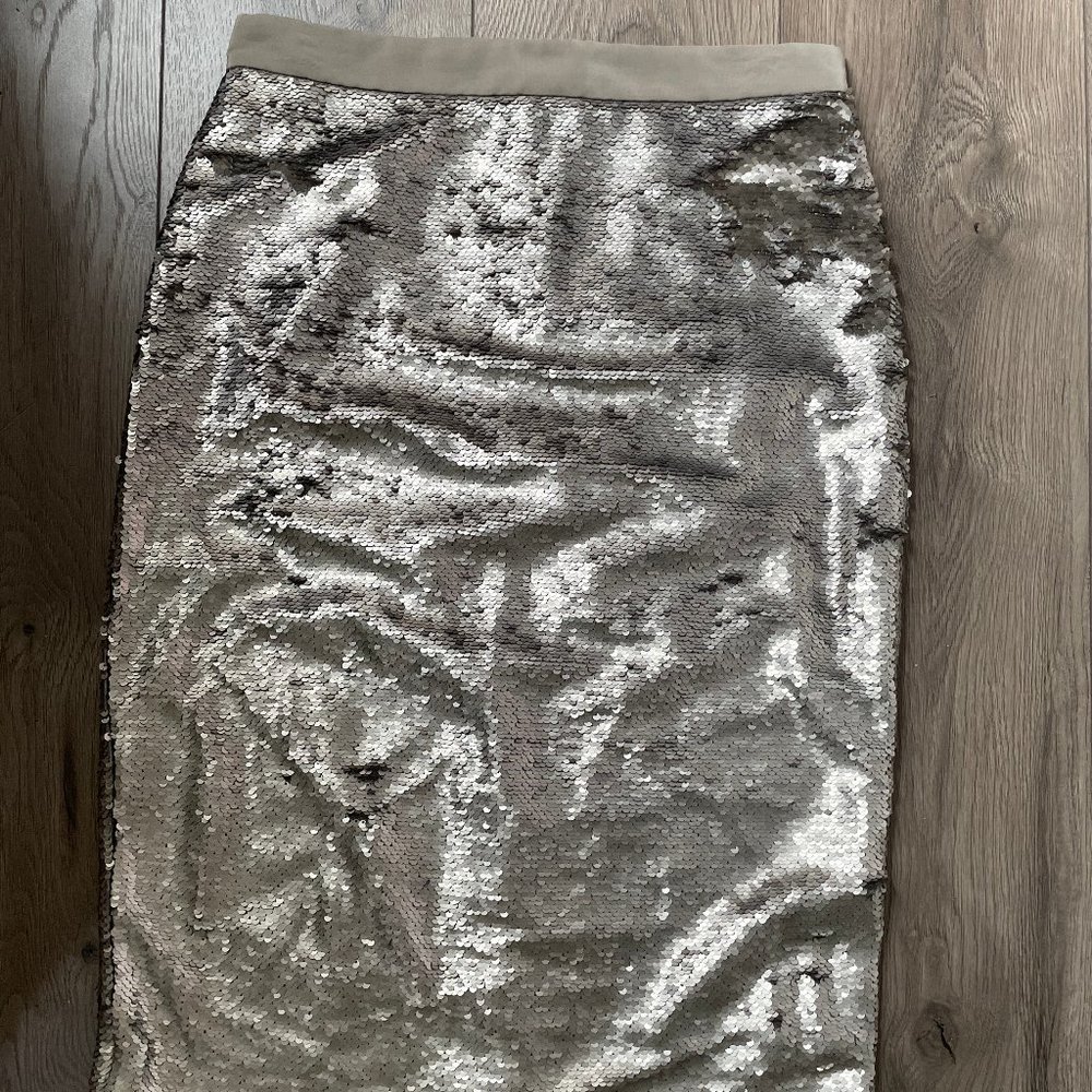 Skirt Banana Republic 8